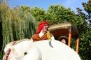 les cornaqueurs 27 * 4368 x 2912 * (5.5MB)